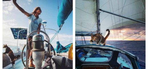 featured-sailing-cat