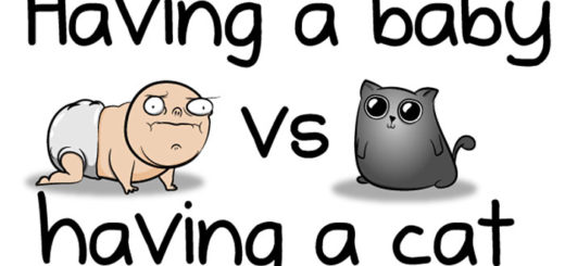 baby-vs-cat-oatmeal-comics-1