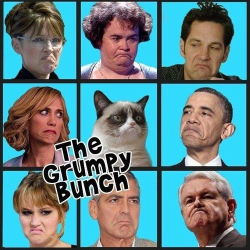grumpy-cat-meme-05