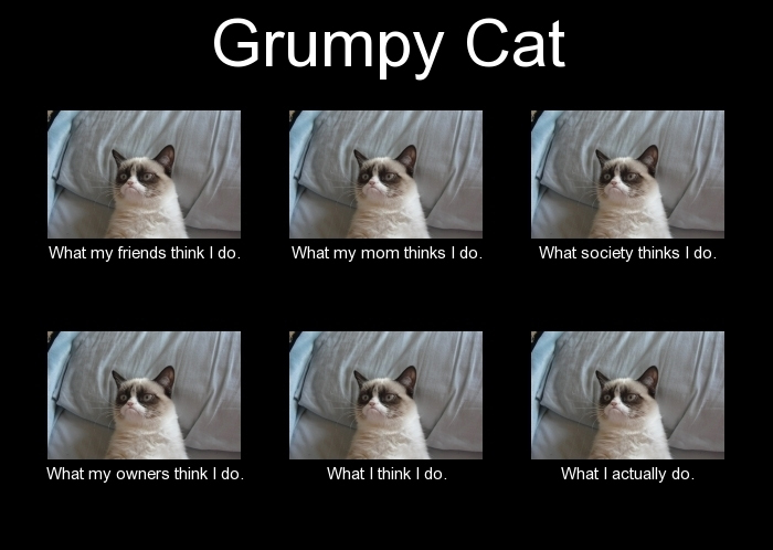 grumpy-cat-meme-10