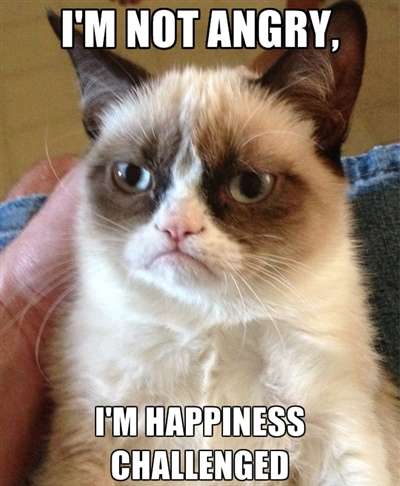 grumpy-cat-meme-17