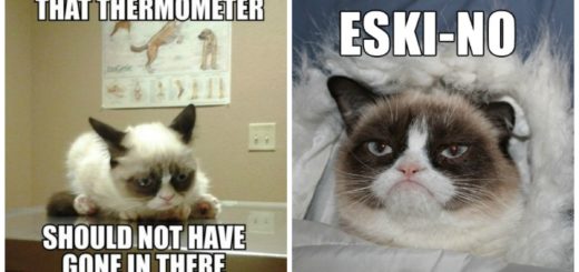 grumpy-cat-meme-feature