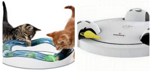 cat-toys-feature