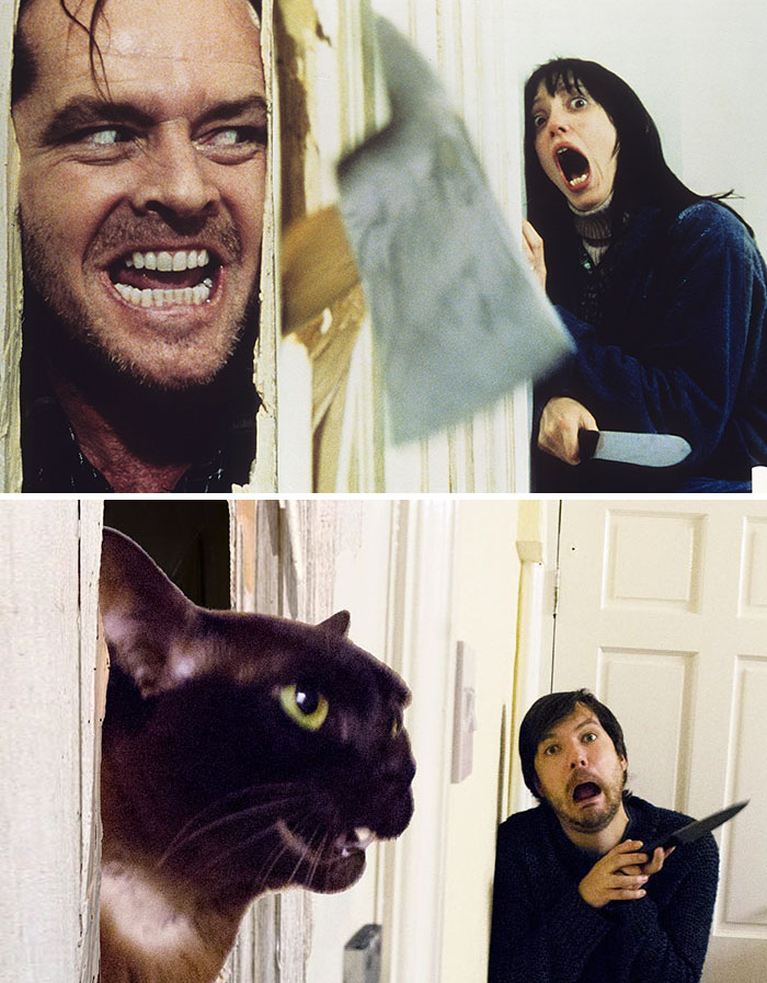 movie-cats-recreate-famous-movie-scenes-the-shining