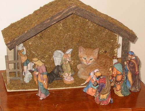 cats-nativity-scenes-04