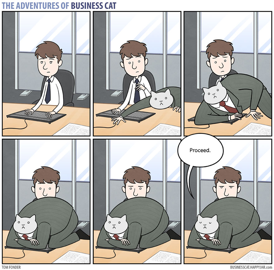 adventures-of-business-cat-comics-tom-fonder-4