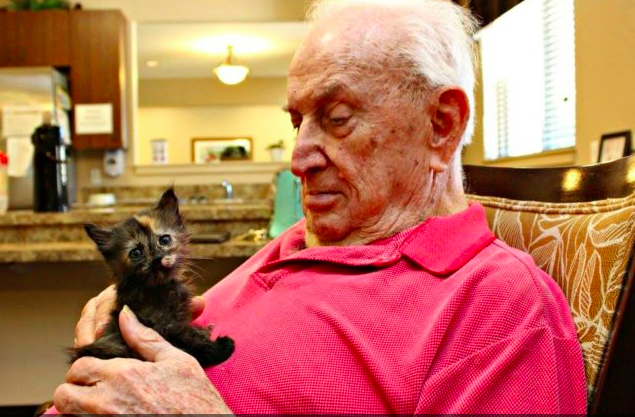 assisted-living-cat-04