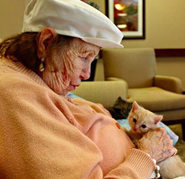 assisted-living-cat-07