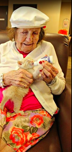 assisted-living-cats-03