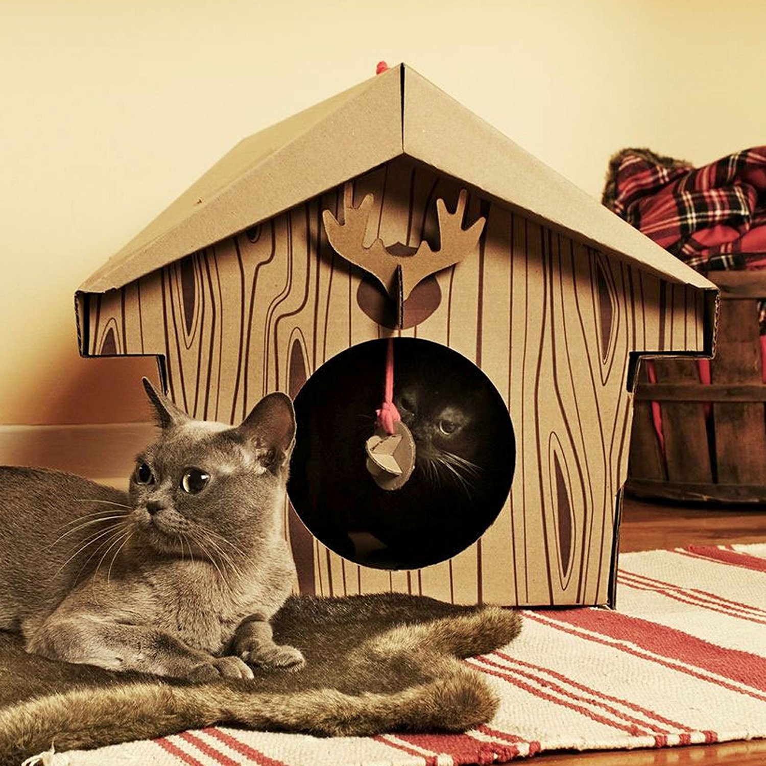 cat-playhouse-scratching-toys-8