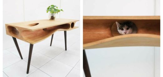 cat-table-feature