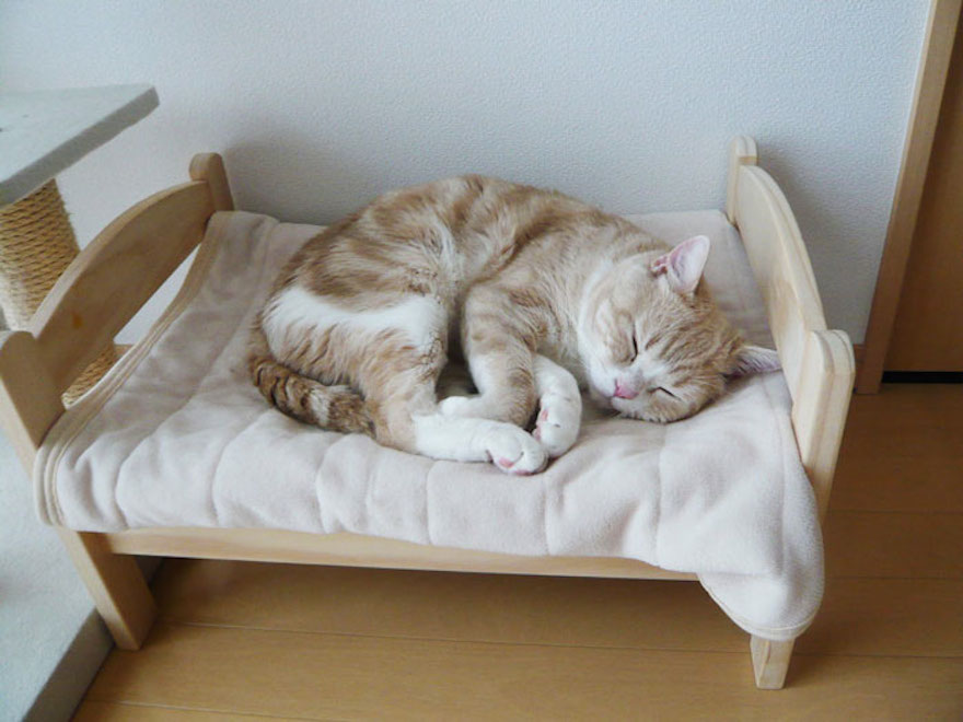 ikea-doll-beds-cats-1