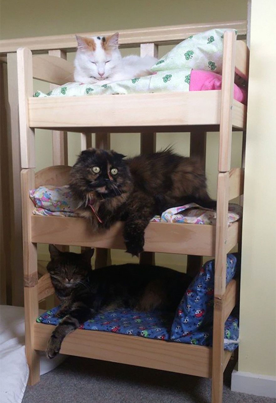 ikea-doll-beds-cats-10