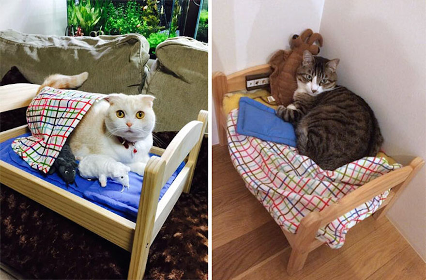 ikea-doll-beds-cats-12