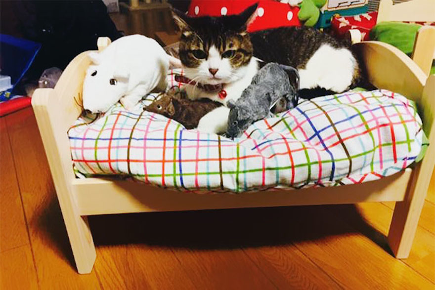 ikea-doll-beds-cats-13