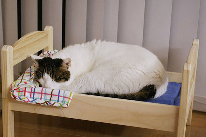 ikea-doll-beds-cats-2