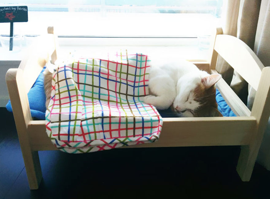 ikea-doll-beds-cats-7