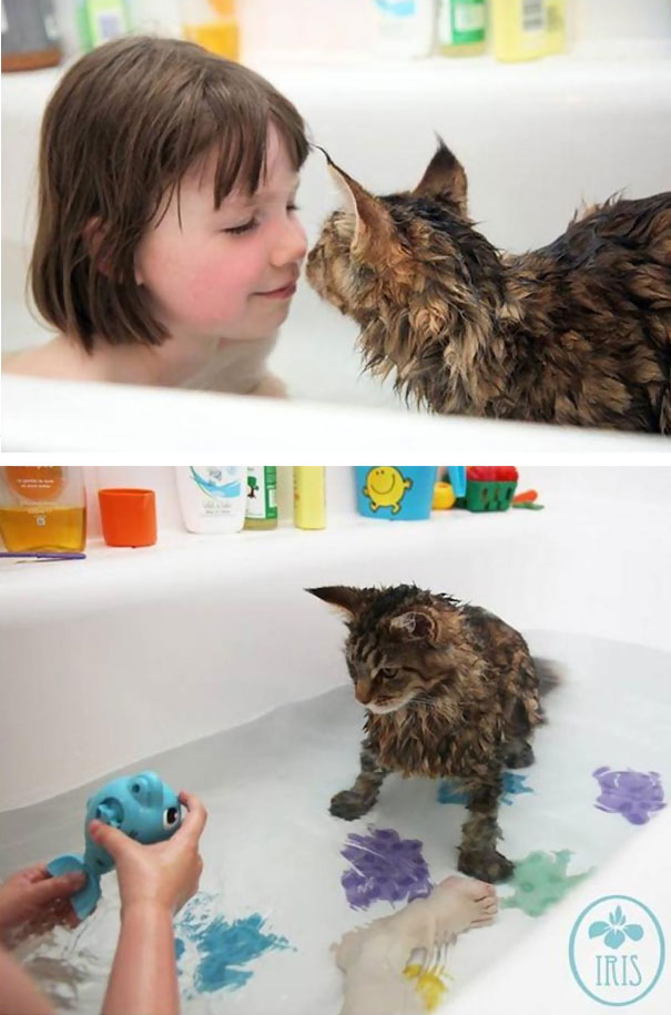 Cats-That-Love-Water-6