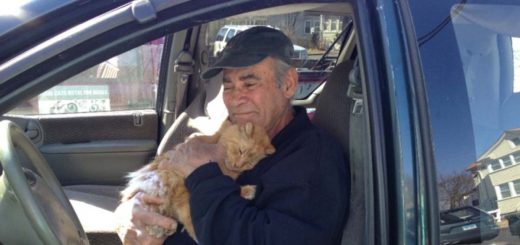 Featured-76-year-old-man-scrap-metal-for-cats-FB