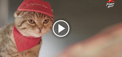 Featured-Pizza-Hut-Japan-Cats-FB