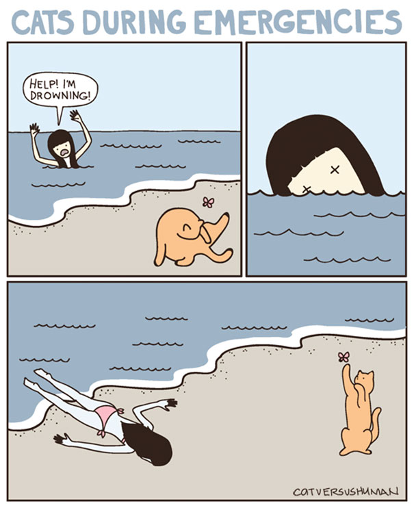 Life-With-Cats-Comic-11