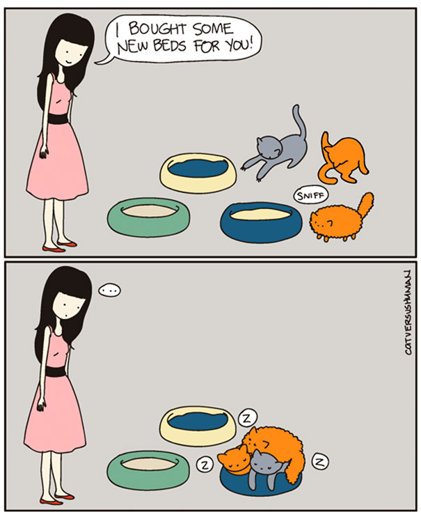 Life-With-Cats-Comic-12
