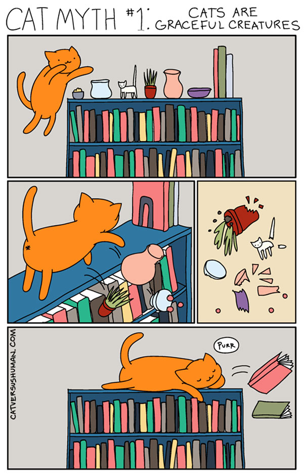 Life-With-Cats-Comic-13