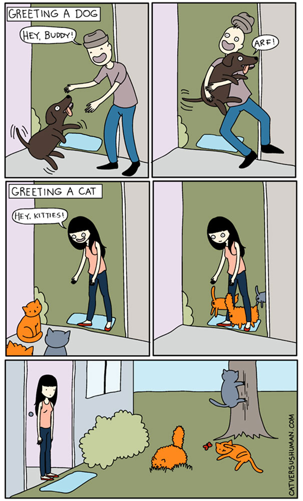 Life-With-Cats-Comic-14