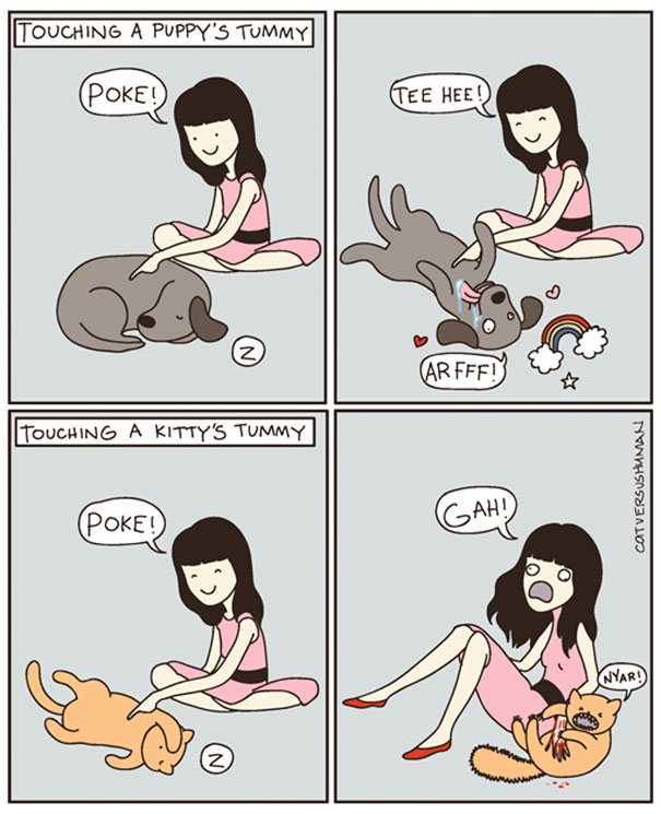 Life-With-Cats-Comic-6