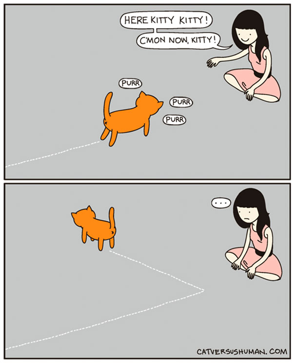 Life-With-Cats-Comic-7