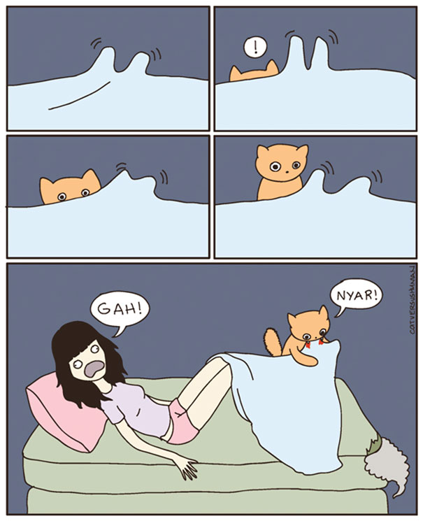 Life-With-Cats-Comic-8