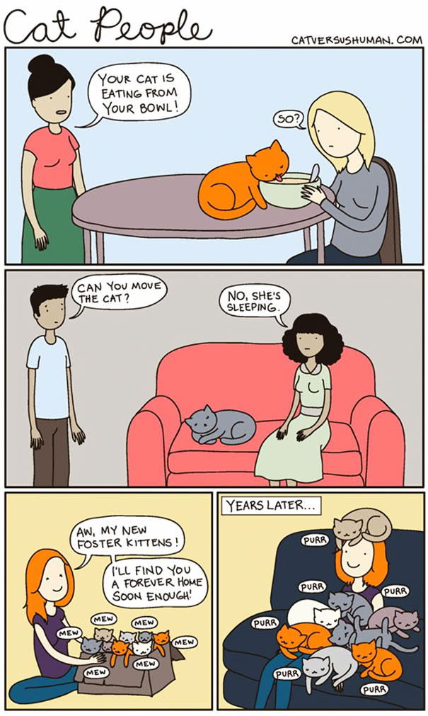 Life-With-Cats-Comic-9