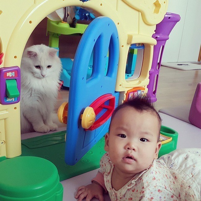 babysitting-cats-05