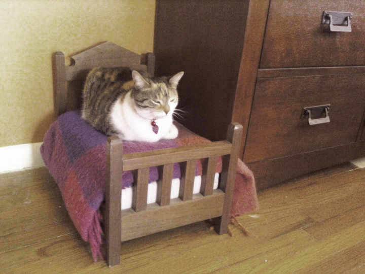 doll-bed-cats-02