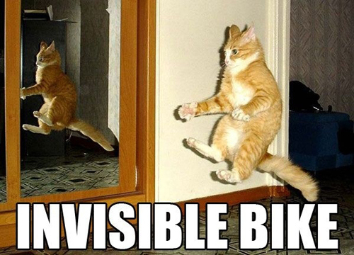 invisible-cats-02