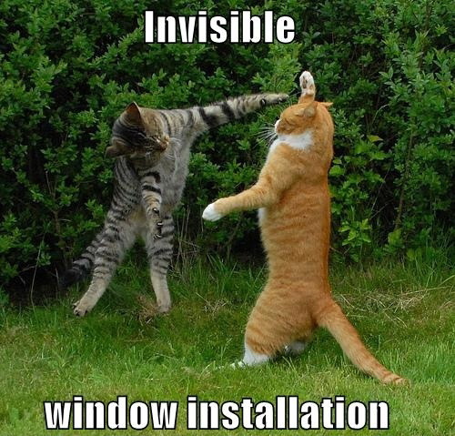 invisible-cats-03