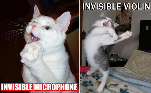 invisible-cats-12