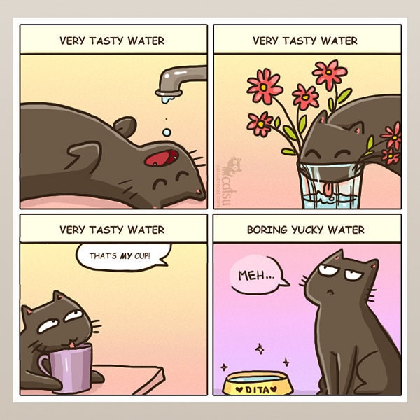 Comic-Weird-Ways-of-Cats-1