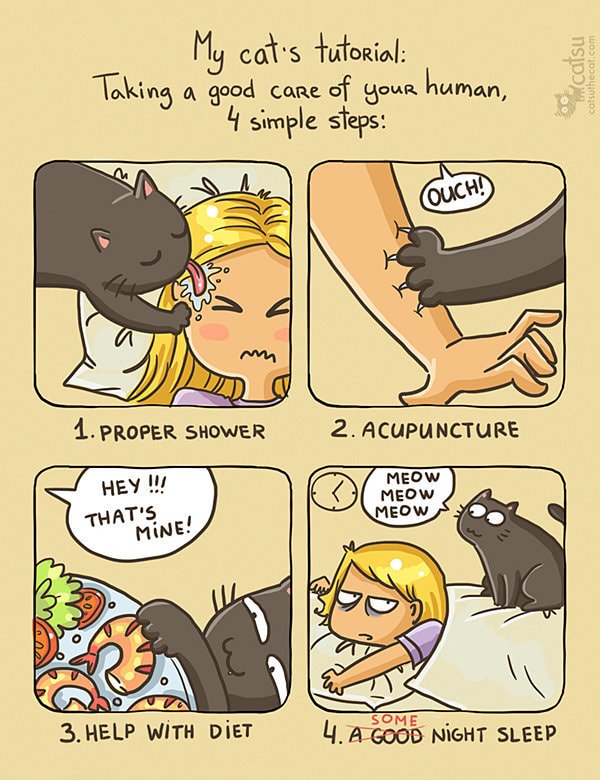Comic-Weird-Ways-of-Cats-10