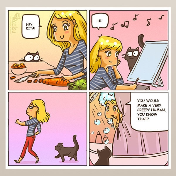 Comic-Weird-Ways-of-Cats-11