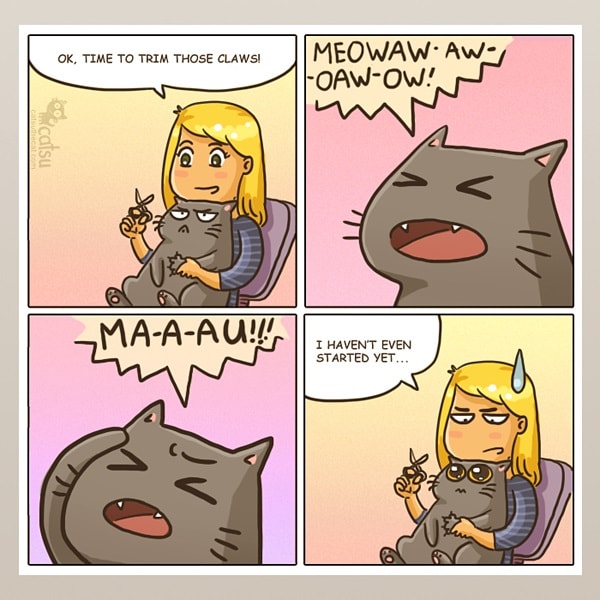 Comic-Weird-Ways-of-Cats-2