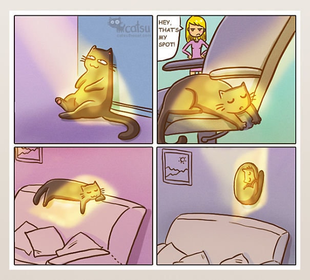 Comic-Weird-Ways-of-Cats-4