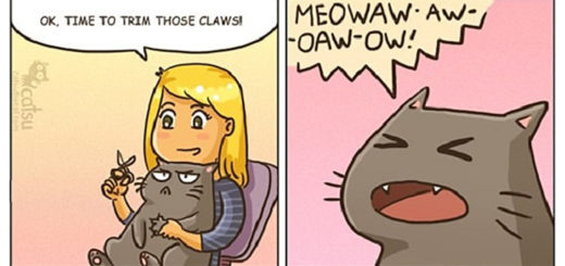 Featured-Comic-Weird-Ways-of-Cats-FB