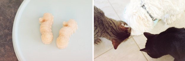 cat-diy-treats-2