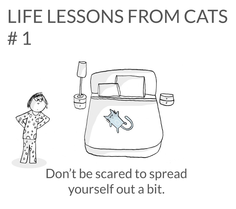 cat-lessons-01