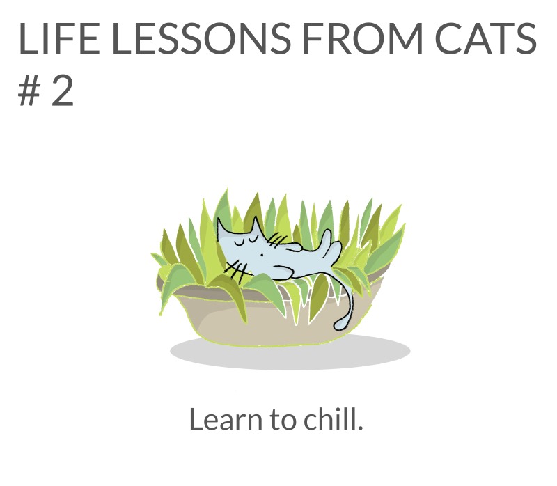 cat-lessons-02
