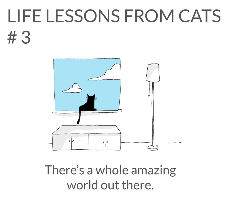 cat-lessons-03