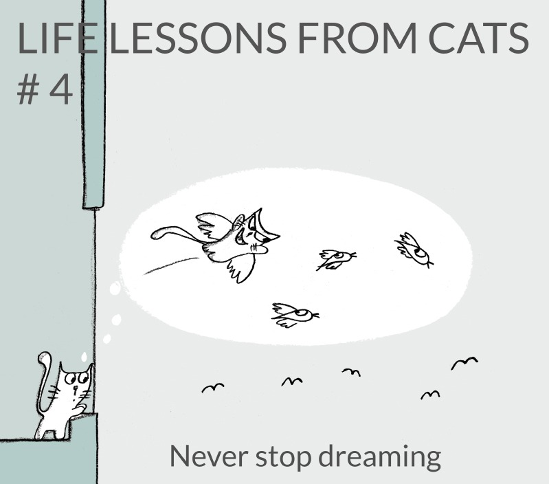 cat-lessons-04
