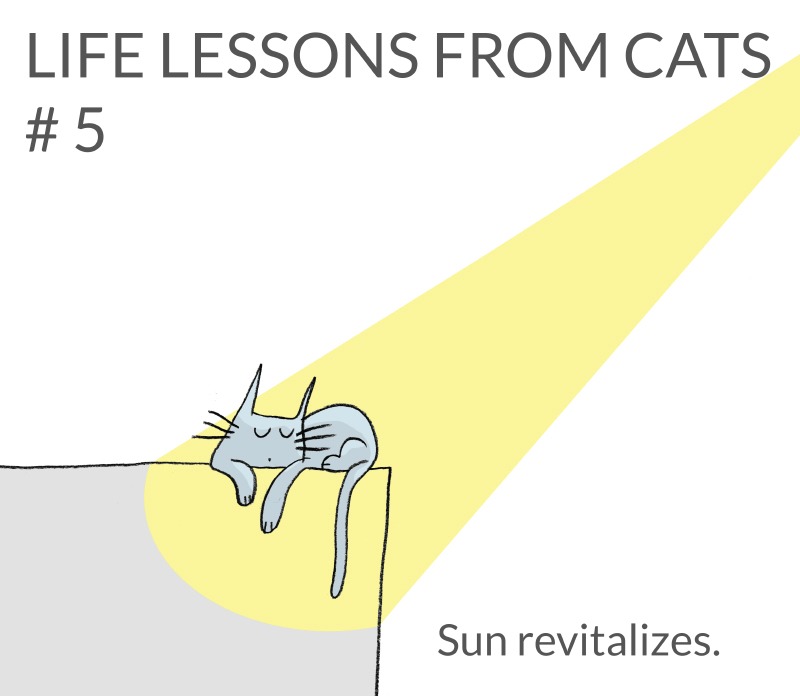 cat-lessons-05