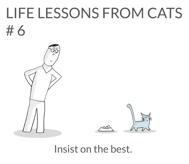 cat-lessons-06